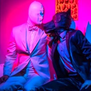 Single Dog Friendly Home